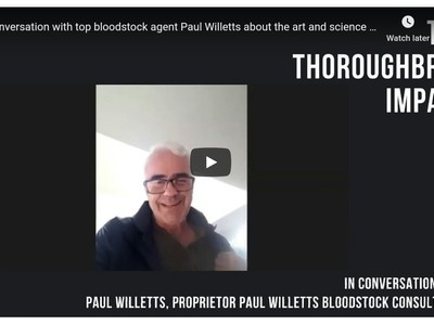 In conversation with top Bloodstock agent Paul Willetts on t ... Image 1