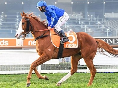 Godolphin In Attack Mode For The Memsie Image 1