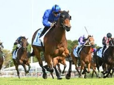 Godolphin In Attack Mode For The Memsie Image 2