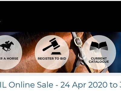 Inglis 2020 APRIL Online Sale Auction Image 1