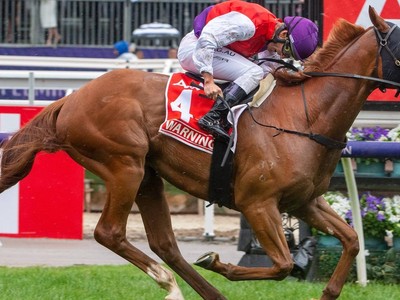 Caulfield Cup Warning sounded Image 1