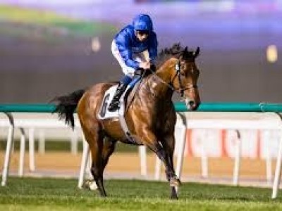 Godolphin Star Ghaiyyath Retired to stud Image 1