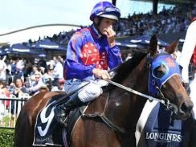PREVIEW: 2020 MAGIC MILLIONS GOLD COAST 2YOS IN TRAINING SAL ... Image 3