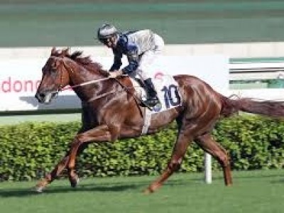 CLASSIQUE LEGEND PREPARES TO SIZZLE IN THE HK SPRINT Image 1