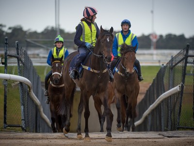 ROBBIE GRIFFITHS: ASPIRING TO LEAD THE STABLE TO GREAT HEIGH ... Image 4