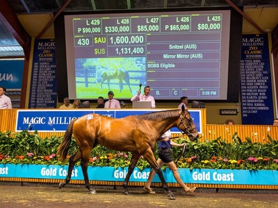 Star Studded Group on Offer at 2021 Magic Millions Gold Coas ... Image 2