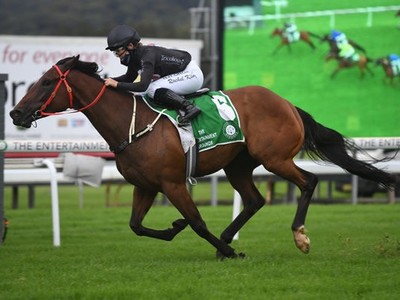 Star Witness Mare Wins Gr.3 Belle of the Turf Image 1