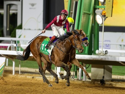 When it comes to stallions, Prince Faisal has either bred th ... Image 1