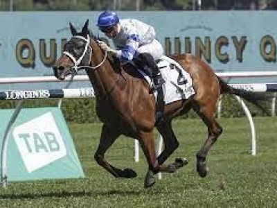 Kolding toughs it out in All Aged Stakes Image 1