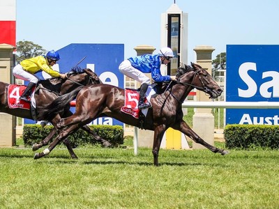 Lyre Headed For Group One Swansong Image 1