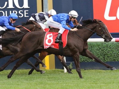 Lyre Headed For Group One Swansong Image 2