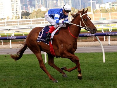 Trainer Gordon Richards Impressed With Gytrash's Win In Adel ... Image 3