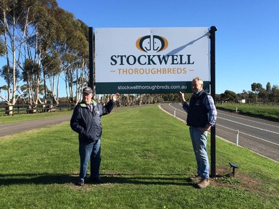 Stockwell Thoroughbreds Presents A Quality Draft At Melbourn ... Image 4