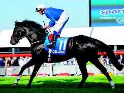 Mizzy heads to Coolmore Image 2