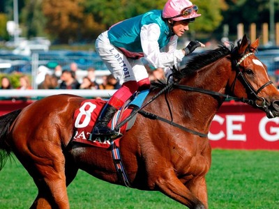 Enable to be covered by Kingman after Juddmonte announce ret ... Image 2