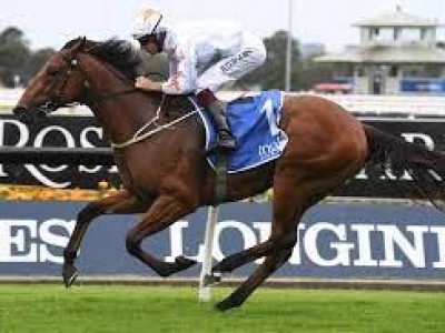 Kia Ora get behind Slipper winner Farnan Image 1