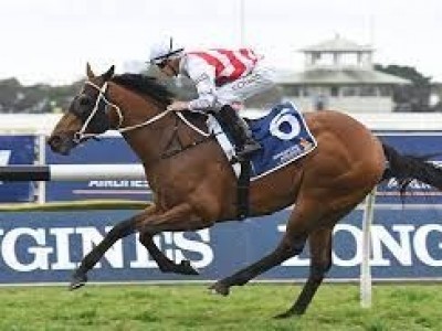 Gr.2 winner Graff to stand at Kitchwin Hills Image 1