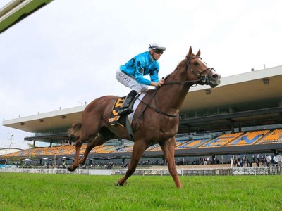 Leading New Zealand bloodstock agent Paul Willetts On His 20 ... Image 1
